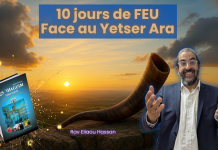 10 jours de FEU face au Yetser Ara 🔥