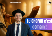Le CHOFAR c’est demain ! – #HalakhotEloul P09