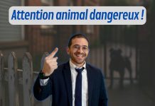 Attention animal dangereux ! – #QDJ