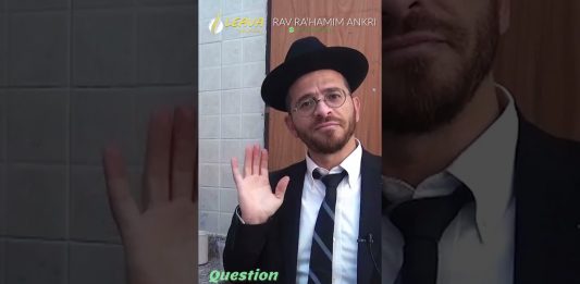 🍼 Bébé BASSARI ? Alors quand passer au HALAVI ?