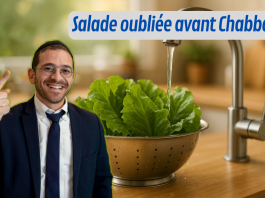 🥗 Salade oubliée avant Chabbat… je peux encore la laver ? – #QDJ