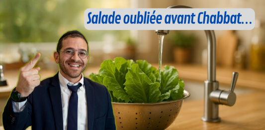 🥗 Salade oubliée avant Chabbat… je peux encore la laver ? – #QDJ