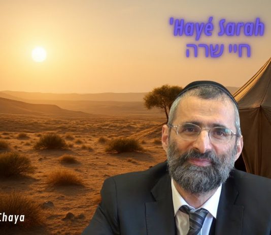 Choisir la VIE ! Entre Spirituel et Matériel… – #LJDLP