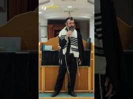 Commencer la Amida coûte que coûte ? – #HDJ