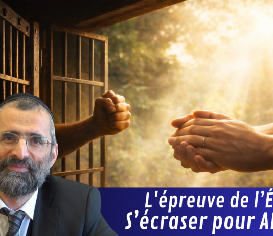 L’épreuve de l’ÉGO : s’écraser pour AIMER !