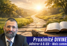 Proximité DIVINE : adhérer à D.IEU – Mais comment ?