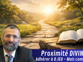 Proximité DIVINE : adhérer à D.IEU – Mais comment ?