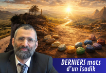 DERNIERS mots d’un Tsadik : l’héritage qui ne meurt JAMAIS – #LJDLP