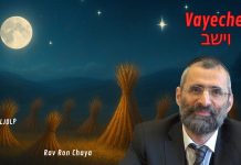 Rêves DÉCISIFS : ce que Yossef avait vraiment vu