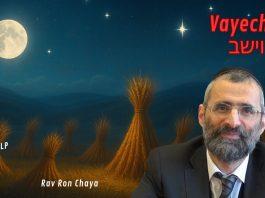 Rêves DÉCISIFS : ce que Yossef avait vraiment vu