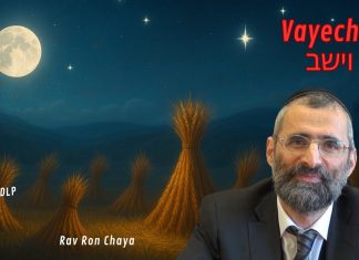 Rêves DÉCISIFS : ce que Yossef avait vraiment vu