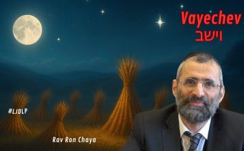 Rêves DÉCISIFS : ce que Yossef avait vraiment vu