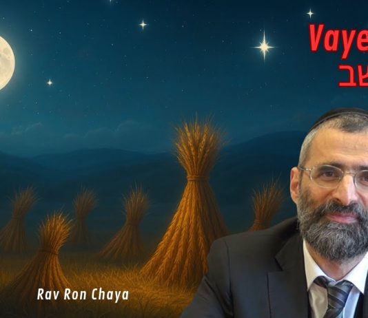 Rêves DÉCISIFS : ce que Yossef avait vraiment vu