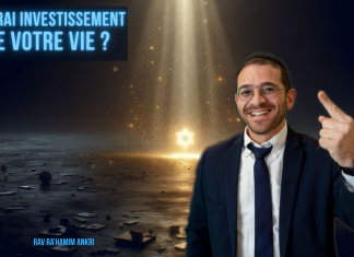 Le VRAI investissement de votre vie ?