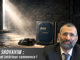 SHOVAVIM : le combat intérieur commence !