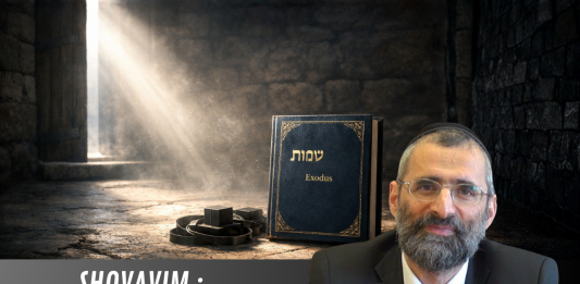 SHOVAVIM : le combat intérieur commence !