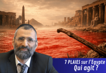 7 PLAIES sur l’Égypte : qui agit ?- #LJDLP