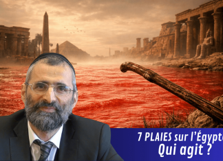 7 PLAIES sur l’Égypte : qui agit ?- #LJDLP