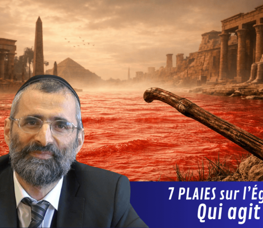 7 PLAIES sur l’Égypte : qui agit ?- #LJDLP