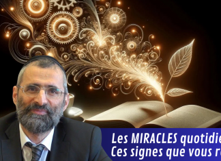 Les MIRACLES quotidiens : ces signes que vous ratez