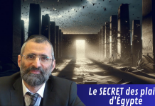 Le SECRET des plaies d’Égypte – #LJDLP
