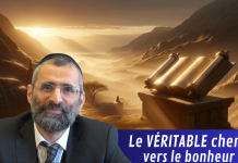 Le VÉRITABLE chemin vers le bonheur ?