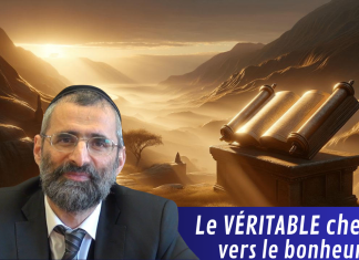 Le VÉRITABLE chemin vers le bonheur ?