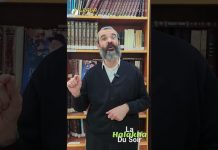 🥩 Participer à une séouda 🍰 – #HDS