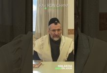 Toucher pendant Shabbat : De quoi s’agit-il ? – #HDJ