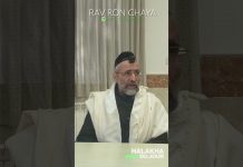 Quelle taille : 48 ou 72 cm ? – #HDJ