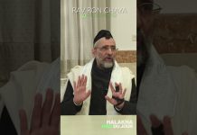 En promenade… – #HDJ -Rav Ron Chaya