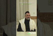 Des pommes à terre ?! – #HDJ