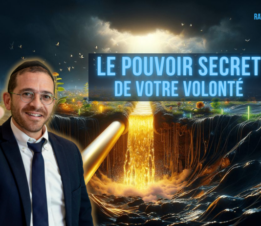 Le POUVOIR secret de votre volonté – #MDJ