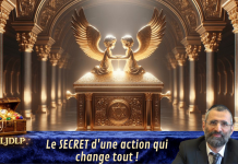 Le SECRET d’une action qui change tout – #LJDLP