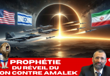 Prophétie du RÉVEIL du LION contre AMALEK – #Guermamia