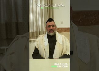 Nos fruits préférés ! – #HDJ