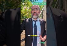 👉 L’essentiel est si SIMPLE ! – #1R1Q