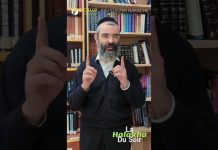 💶 La Parasha de l’ARGENT ! 💰 – #HDS