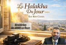 Bénédiction des ARBRES en fleurs – #HDJ