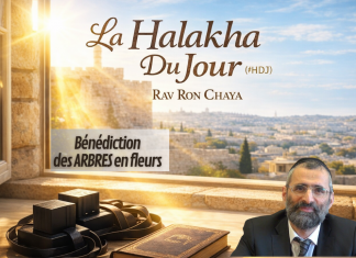 Bénédiction des ARBRES en fleurs – #HDJ