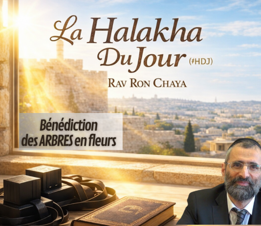 Bénédiction des ARBRES en fleurs – #HDJ