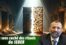 Le sens caché des rituels du SEDER – #PESSAH