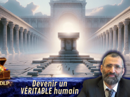 Devenir un VÉRITABLE humain – #LJDLP