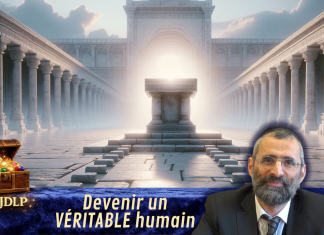 Devenir un VÉRITABLE humain – #LJDLP
