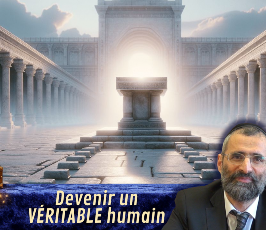 Devenir un VÉRITABLE humain – #LJDLP