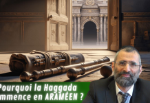 Pessah : pourquoi cette fête a DEUX noms ? – #PESSAH