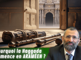 Pessah : pourquoi cette fête a DEUX noms ? – #PESSAH