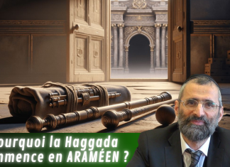 Pessah : pourquoi cette fête a DEUX noms ? – #PESSAH