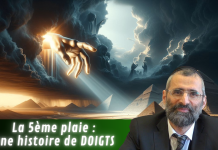 La 5ème plaie : une histoire de DOIGTS – #PESSAH