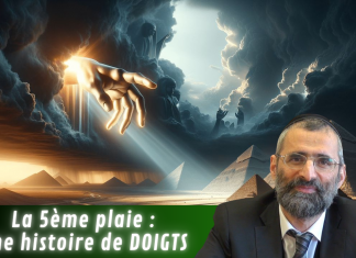 La 5ème plaie : une histoire de DOIGTS – #PESSAH